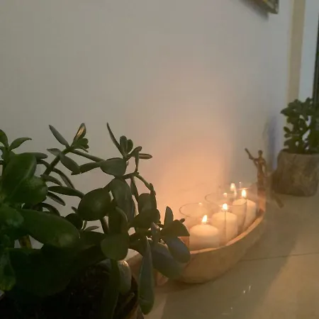 Отель Persani Солнечный берег