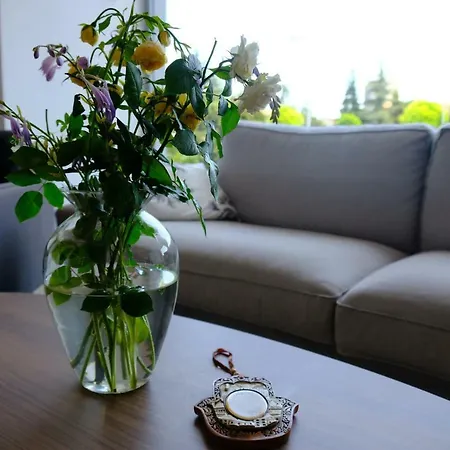 Persani Отель Солнечный берег